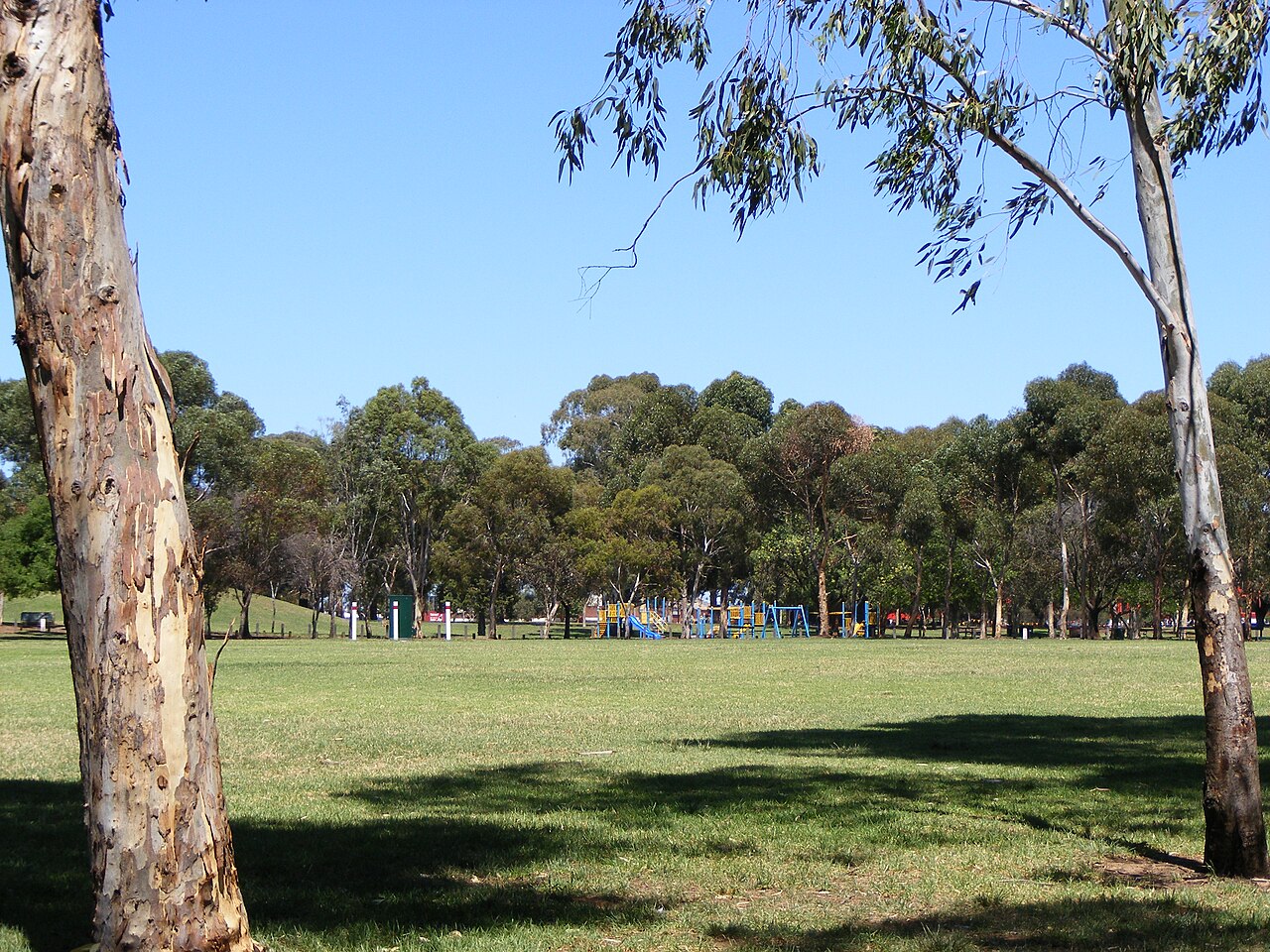 An open grassy area of Bonython Park in Adelaide framed by tall gum trees, with a playground in the distance