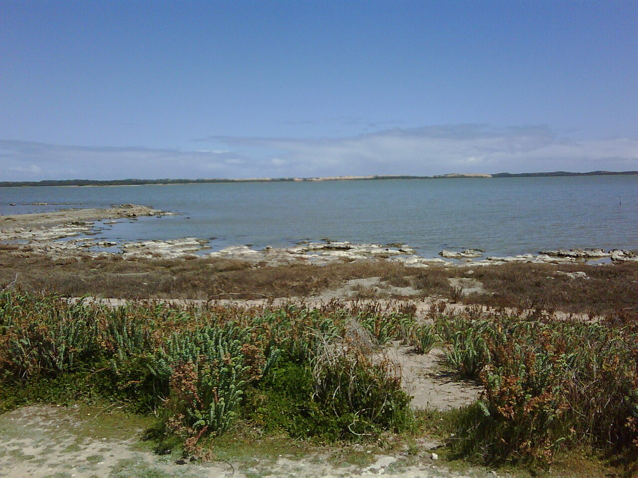 The Coorong near Salt Creek, a wide stretch of calm grey-blue lagoon with low limestone rocks and coastal scrub in the foreground and pale dunes on the far shore