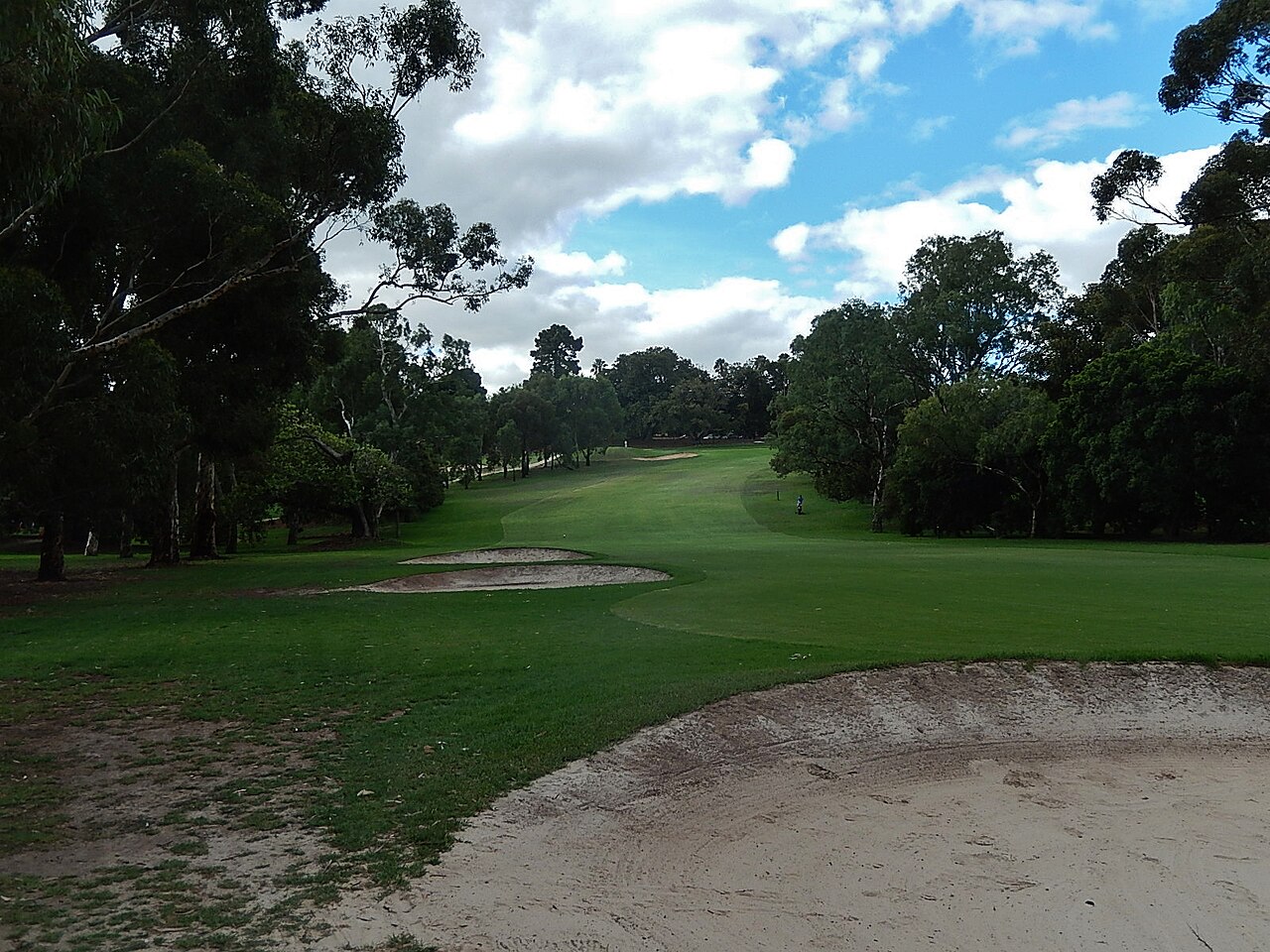 A tree-lined fairway and sand bunker at North Adelaide Golf Course in the city's parklands