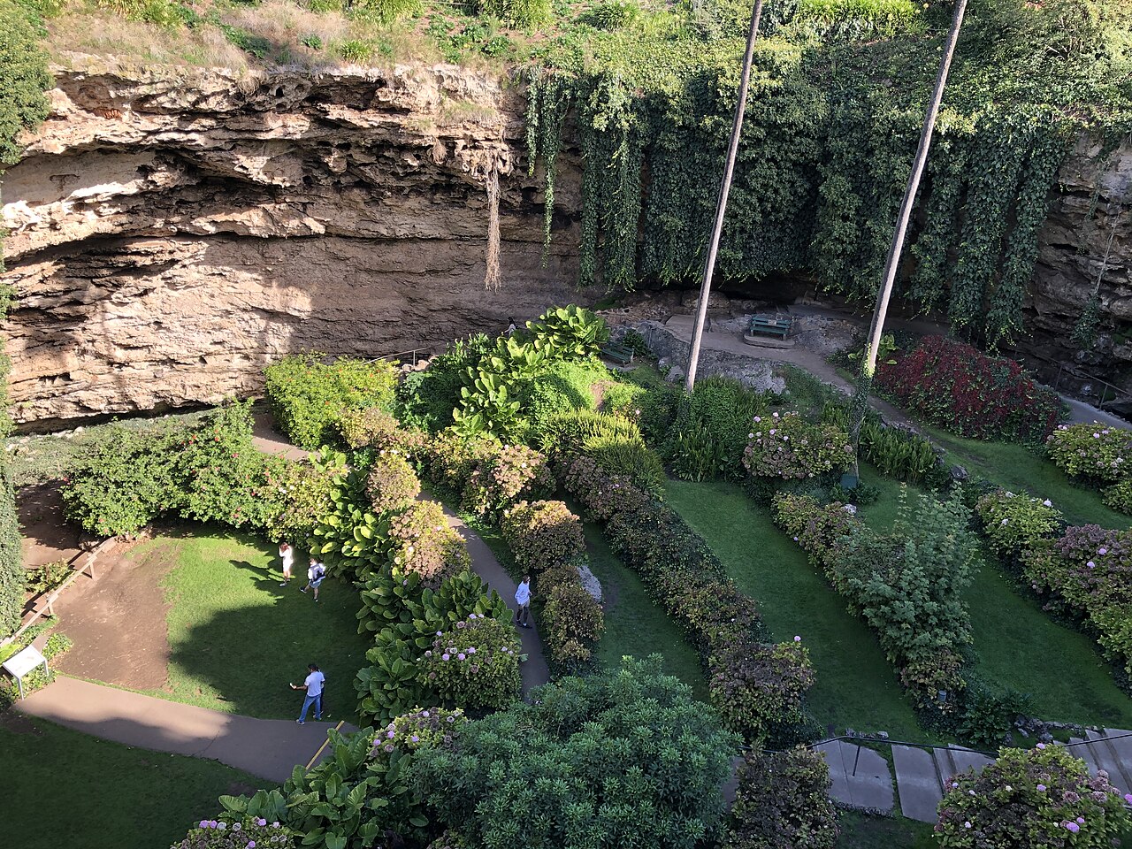 Looking down into Umpherston Sinkhole from the rim, with terraced garden beds, lawns and paths on the floor below a curving limestone wall draped with creepers, and a few visitors walking through